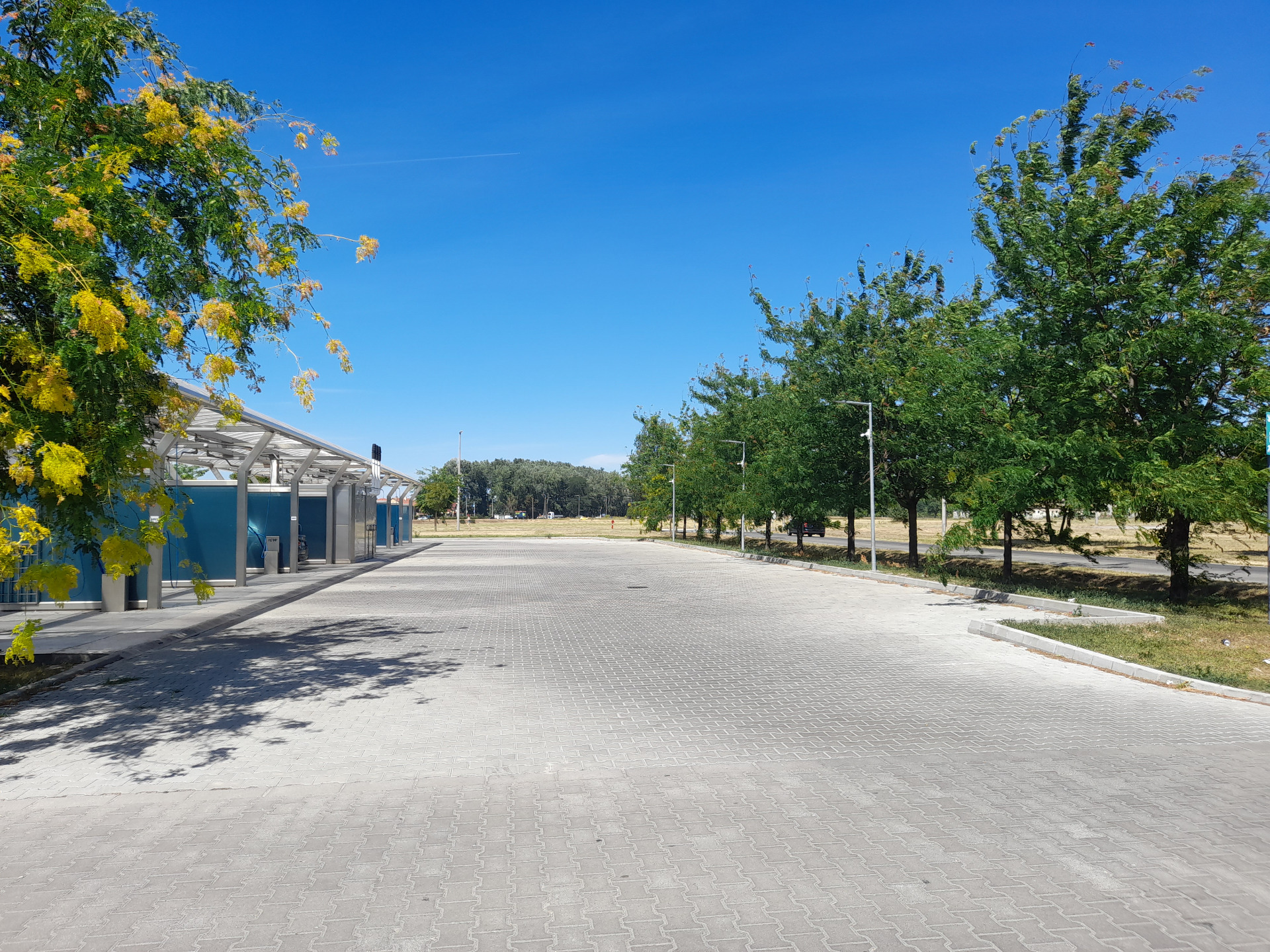 Autómosó referencia